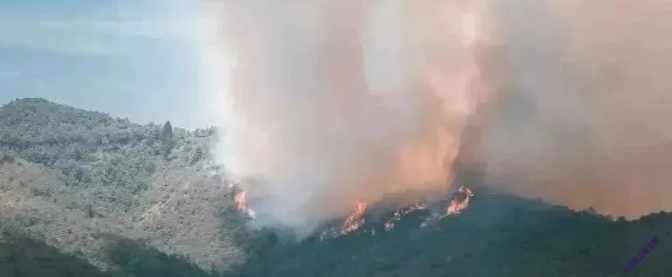 大火烧了2天，过火面积877.6亩！该女子将自己送进监狱